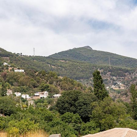Malagasuite Cortijo Robles كاسارابونيلا المظهر الخارجي الصورة