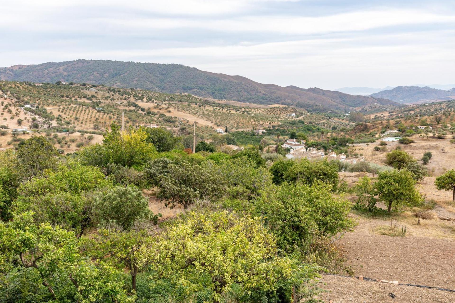 Malagasuite Cortijo Robles كاسارابونيلا المظهر الخارجي الصورة