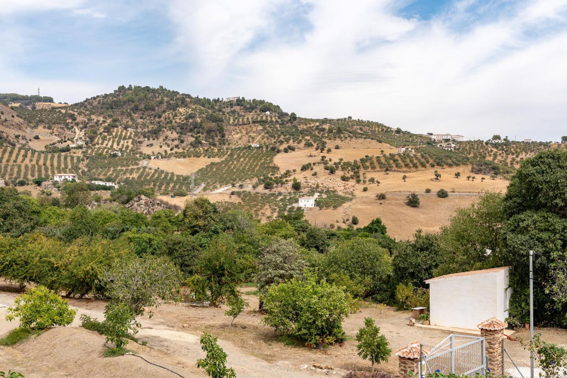 Malagasuite Cortijo Robles كاسارابونيلا المظهر الخارجي الصورة
